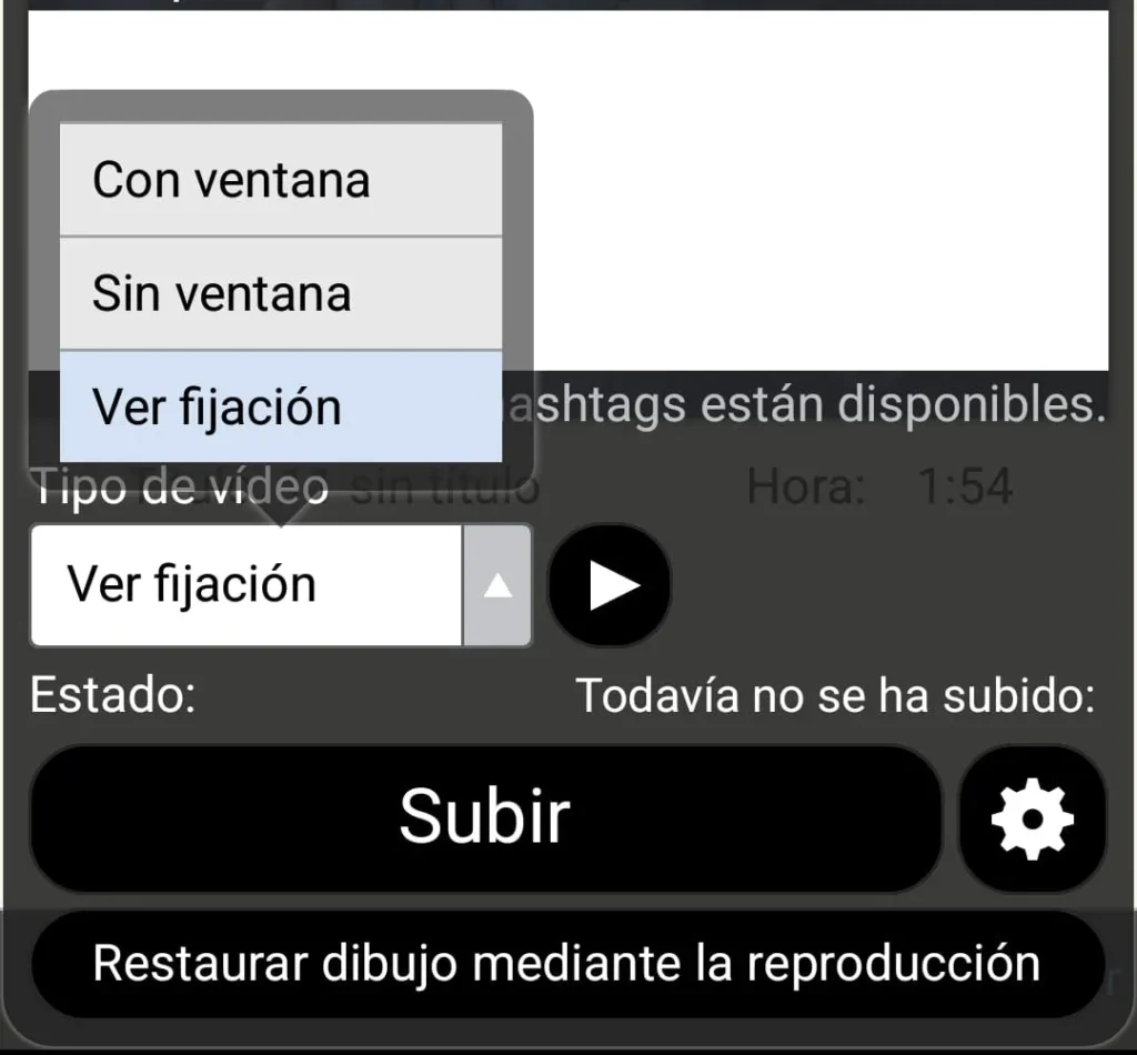 Elegir tipo de video de IbisPaint